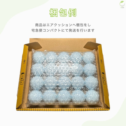 【中古】 ロストボール ボルビック ヴォルビック オレンジ 銘柄混合 VIVIDXT FLYON VIMAX 20球 ACランク ゴルフボール リゴルフ