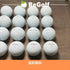 ロストボール タイトリスト Pro V1x ホワイト 2025年モデル 20球 Bランク ゴルフボール
